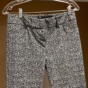 Animal print pants
